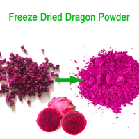 Pó de dragão vermelho liofilizado 100% puro Pó de fruta pitaya em pó